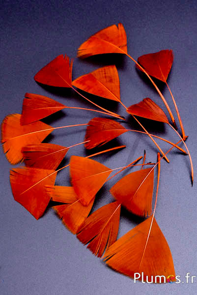Pétales en plumes - 6-8 x 3-4 cm - or aztèque
